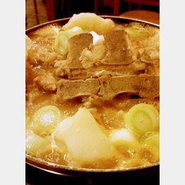 宗家ガムジャタン（Ｃ）日刊ゲンダイ