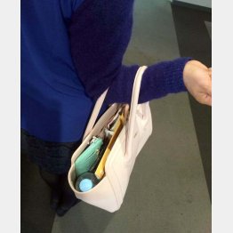 （Ｃ）日刊ゲンダイ