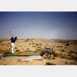 見渡す限り砂漠が広がる（提供写真）