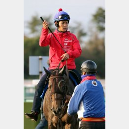 戸崎圭太さんはお酒も毎日（Ｃ）日刊ゲンダイ