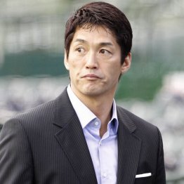 現在もマルチに活躍（Ｃ）日刊ゲンダイ