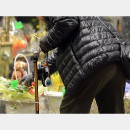 写真はイメージ（Ｃ）日刊ゲンダイ