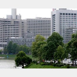 公務員はニンマリだろうが…（写真はイメージ）（Ｃ）日刊ゲンダイ