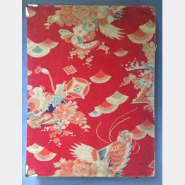 特別委では“物証”（このアイロン台の裏に目撃者がメモ）まで飛び出した／（Ｃ）日刊ゲンダイ