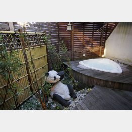 この露天風呂が目当て！（カラフルP＆A新宿の特別室）／（Ｃ）日刊ゲンダイ