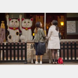 若い女子が多い今戸神社（Ｃ）日刊ゲンダイ