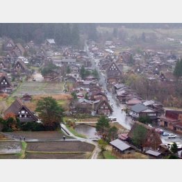 雨の白川郷もまたよし（Ｃ）日刊ゲンダイ
