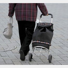 写真はイメージ（Ｃ）日刊ゲンダイ