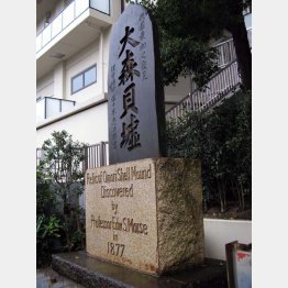 大田区側の「大森貝墟」碑　１文字違う（Ｃ）日刊ゲンダイ