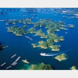 九十九島（提供写真）