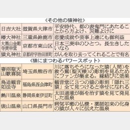 その他の猿神社（Ｃ）日刊ゲンダイ