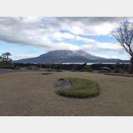 桜島を望む仙厳園（提供写真）