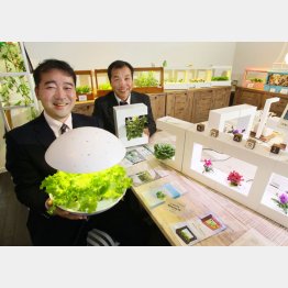 本社１階「Ｃａｆｅ灯菜」で（手前は浅野社長、奥は媚山さん）／（Ｃ）日刊ゲンダイ