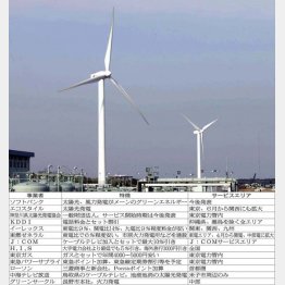 今のところ料金なら「イーレックス」か（Ｃ）日刊ゲンダイ