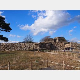 堂々とたたずむ石垣は職人の技量のたまもの（Ｃ）日刊ゲンダイ