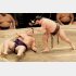 白鵬（右）もインフルでダウンした過去が（Ｃ）日刊ゲンダイ