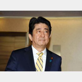 霞が関とは戦わず（Ｃ）日刊ゲンダイ