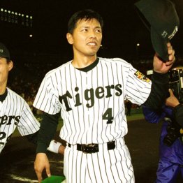 いい投手ではあるけれど…（Ｃ）日刊ゲンダイ