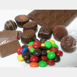 チョコレート作りにも重要（Ｃ）日刊ゲンダイ