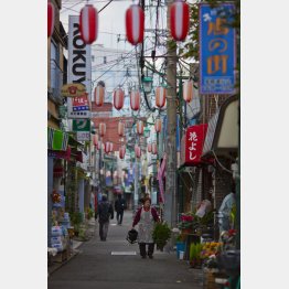 （Ｃ）日刊ゲンダイ