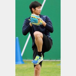 日ハム大谷は４シーズン目を迎える（Ｃ）日刊ゲンダイ