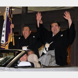 琴奨菊（Ｃ）日刊ゲンダイ