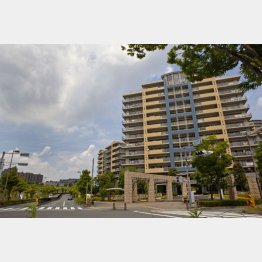 大規模ほど効果的（Ｃ）日刊ゲンダイ