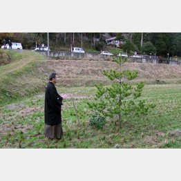 あえのこと（家長が田んぼへ神様を迎えに行く）／（Ｃ）日刊ゲンダイ