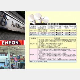 ３月末まで申し込みで１万円食事券も（Ｃ）日刊ゲンダイ