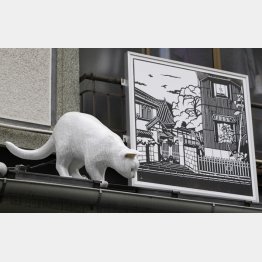 猫が小判を運んでくる（Ｃ）日刊ゲンダイ