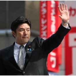 府連会長の中山泰秀衆院議員（Ｃ）日刊ゲンダイ