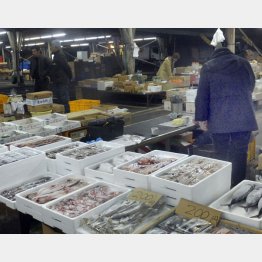 長崎・佐世保（Ｃ）日刊ゲンダイ