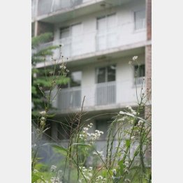 写真はイメージ（Ｃ）日刊ゲンダイ