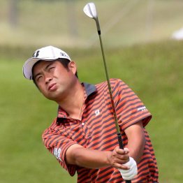 池田勇太は通算１３勝（Ｃ）日刊ゲンダイ