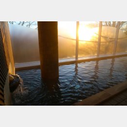 朝湯が最高！！（すずむし荘）／（Ｃ）日刊ゲンダイ