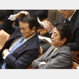 デタラメ醜聞連発なのに…（Ｃ）日刊ゲンダイ