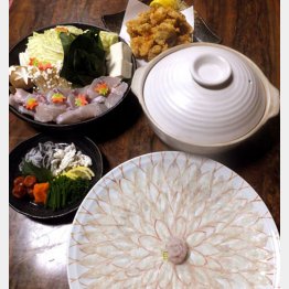 「海鮮料理　和泉苑」の長崎とらふぐ（提供写真）