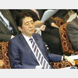 無知なら謙虚に（Ｃ）日刊ゲンダイ