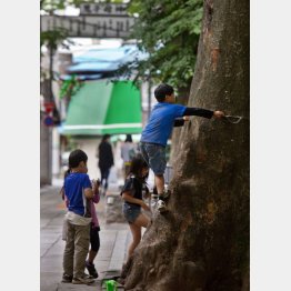 写真はイメージ（Ｃ）日刊ゲンダイ