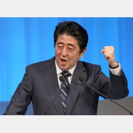 サンキュー！ショーン（Ｃ）日刊ゲンダイ