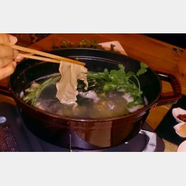 「ＭＥＡＴ　ＬＡＢ」の「春限定　桜コース」（Ｃ）日刊ゲンダイ