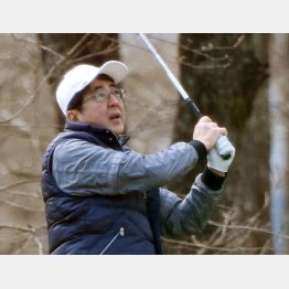 ゴルフをしている場合か（Ｃ）日刊ゲンダイ