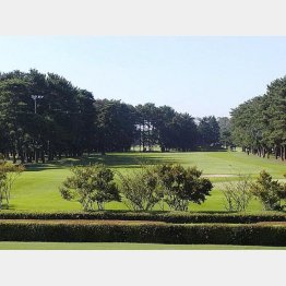 ビギナーの頃、月に１、２度プレーした柏ＣＣ（Ｃ）日刊ゲンダイ