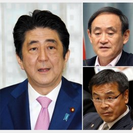 選挙がないのに毎年巨額ガソリン代（Ｃ）日刊ゲンダイ