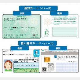 通知カードと個人番号カードのイメージ（国税局・税務署のＨＰ）