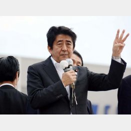 （Ｃ）日刊ゲンダイ