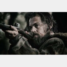 「レヴェナント 蘇えりし者」／（C）2016 Twentieth Century Fox