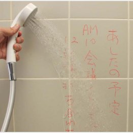 「Ｂａｔｈ Ｃｒａｙｏｎ」／（Ｃ）日刊ゲンダイ