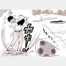 イラスト・たかぎしひろや