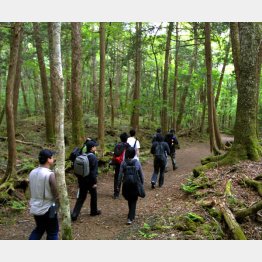 （Ｃ）日刊ゲンダイ